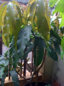 photo(15)